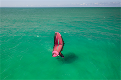 Крыло Wing Neilpryde 25 Fly III - фото 61213