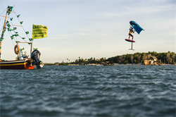 Крыло Wing Neilpryde 25 FireFly С2 - фото 61229