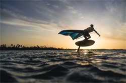 Крыло Wing Neilpryde 25 FireFly С2 - фото 61233