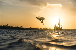 Крыло Wing Neilpryde 25 FireFly С1 - фото 61264