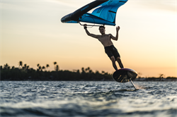 Крыло Wing Neilpryde 25 FireFly С1 - фото 61278