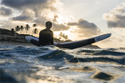 Крыло Wing Neilpryde 25 FLY III PRO - фото 61287