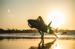 Крыло Wing Neilpryde 25 FLY III PRO - фото 61295