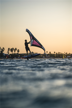 Крыло Wing Neilpryde 25 FLY III PRO - фото 61301