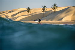 Крыло Wing Neilpryde 25 FLY III PRO - фото 61316