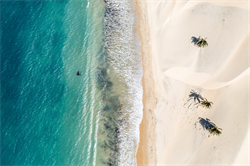 Крыло Wing Neilpryde 25 FLY III PRO - фото 61322