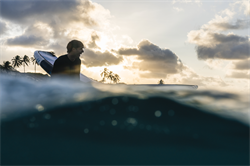 Крыло Wing Neilpryde 25 FLY III PRO - фото 61334