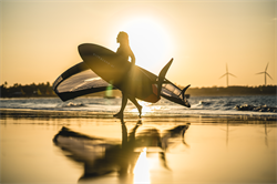 Крыло Wing Neilpryde 25 FLY III PRO - фото 61342