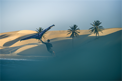 Крыло Wing Neilpryde 25 FLY III PRO - фото 61364