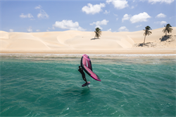 Крыло Wing Neilpryde 25 Fly III - фото 61388