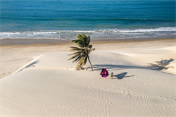 Крыло Wing Neilpryde 25 Fly III - фото 61390