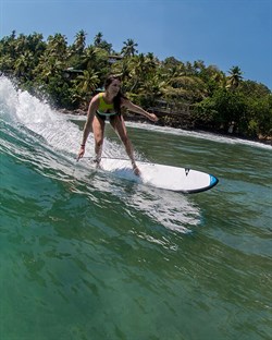 Доска SURF DARKHORSE - фото 63011