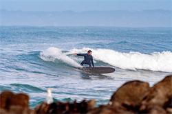 Доска SURF SIC 25 SWINDLER x22.5 HF 8'6\" - фото 63460