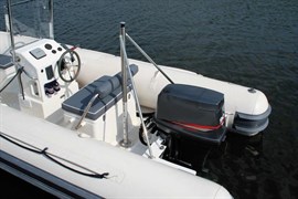 Adjustable Pro Ski Pylon
