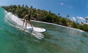 Доска SURF DARKHORSE