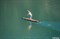 SUP JP-Australia 2020 Flatwater Race 14'0"x21.5" PRO - фото 37059