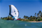 Крыло Wing Neilpryde 25 FLY III PRO - фото 61289