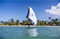 Крыло Wing Neilpryde 25 FLY III PRO - фото 61291