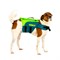 Jobe Pet Vest Lime Teal - фото 61461