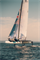 Гидрокостюм дет. ZHIK 25 Superwarm Performance Skiff Youth - фото 62755