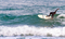 Доска SURF SIC 25 DRIFTER AT 6'8\" - фото 63108