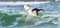 Доска SURF SIC 25 DRIFTER AT 7'4\" - фото 63119