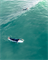 Доска SURF SIC 25 PICK POCKET x22.5 HF 7'4\" - фото 63443