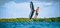 Доска Wing SIC 25 KA'A PRO (60L) 5'5\" - фото 63691