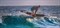 Доска Wing SIC 25 KA'A PRO (60L) 5'5\" - фото 63692